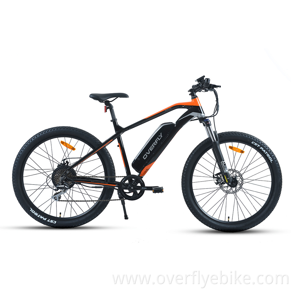 Mountain ebike 